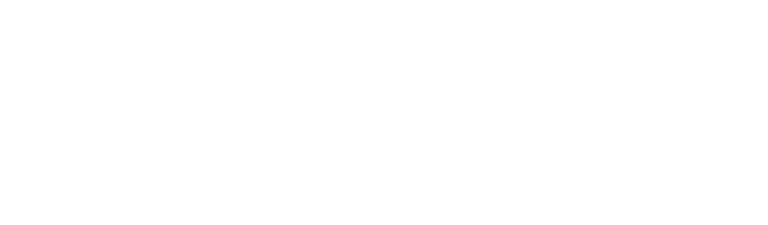 Academy for Professional Modelling